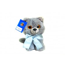 Котик В224 22см